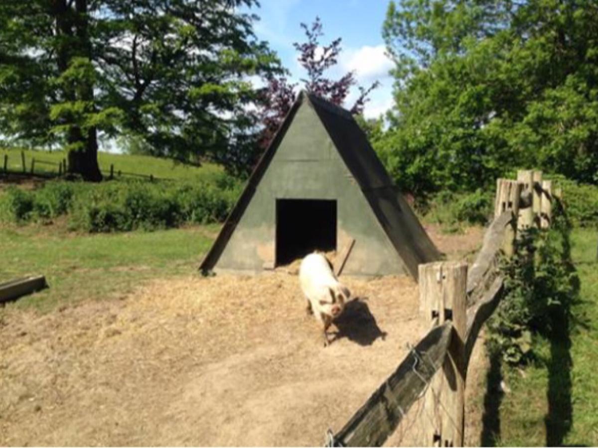 Danny Lodge - Country Cottage Near Brighton By Huluki Sussex Stays Hurstpierpoint Eksteriør billede